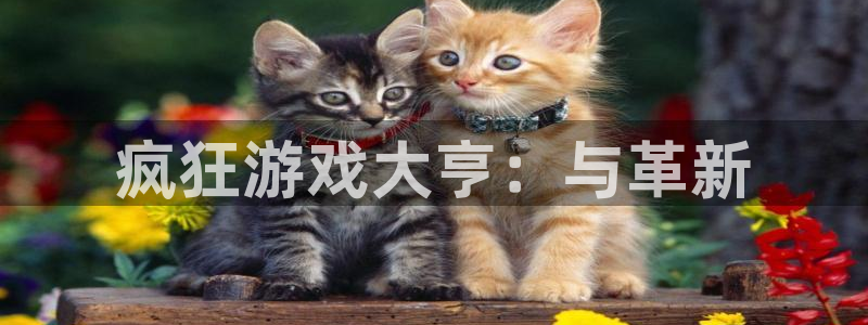 亿万28电商怎么样可靠吗：疯狂游戏大亨：与革新