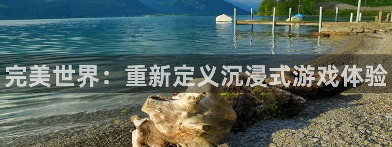 亿万28官网注册平台怎么注册账号：完美世界：重新定义沉浸式游戏体验