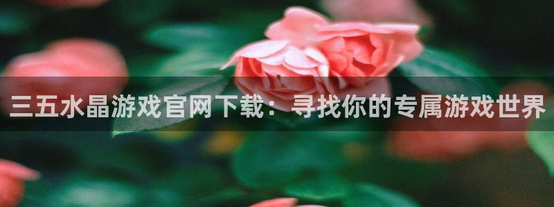 亿万28官网平台怎么样啊