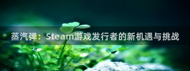 亿万28子出版社董事长