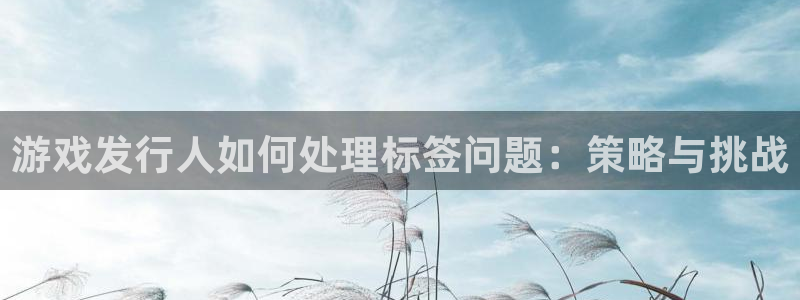 陕西亿万28子文化公司有什么游戏：游戏发行人如何处理标签问题：策略与挑战