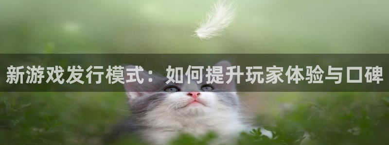 亿万28子的所有小说：新游戏发行模式：如何提升玩家体验与口碑