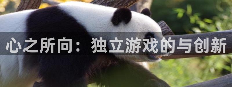 亿万28官网注册平台：心之所向：独立游戏的与创新