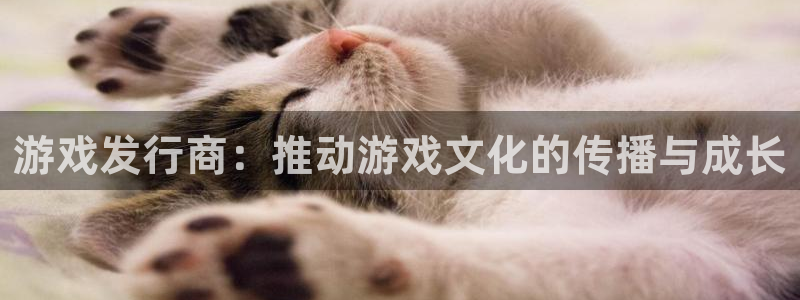 亿万28服装：游戏发行商：推动游戏文化的传播与成长