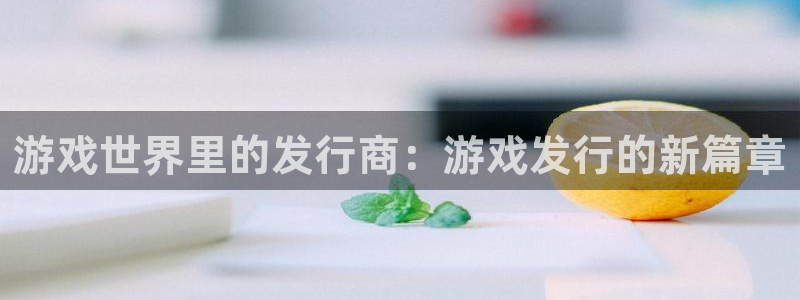 亿万28龙：游戏世界里的发行商：游戏发行的新篇章