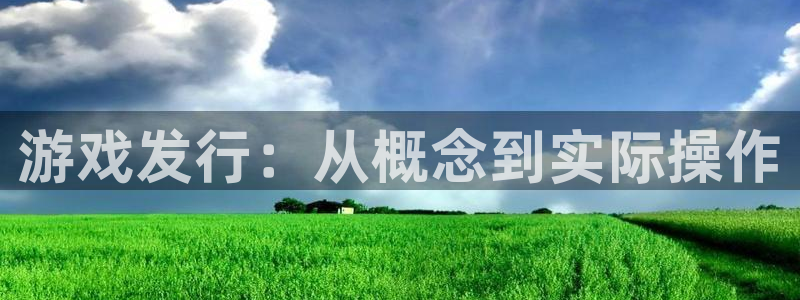 亿万28官网解绑银行卡：游戏发行：从概念到实际操作