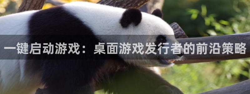 亿万28技术有限公司官网：一键启动游戏：桌面游戏发行者的前沿策略