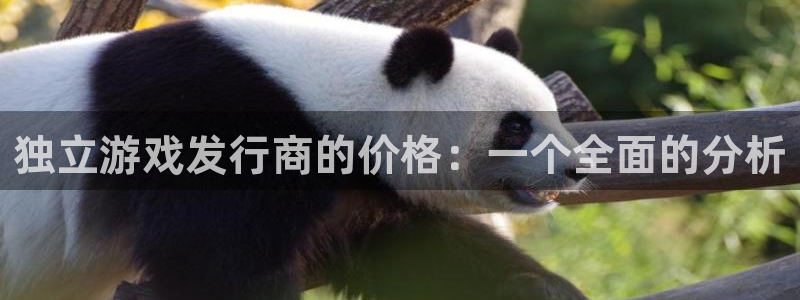 亿万28官网注册方法有哪些：独立游戏发行商的价格：一个全面的分析
