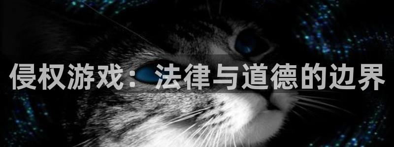 亿万28官网登录注册不了怎么办：侵权游戏：法律与道德的边界