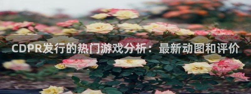 我想看亿万28：CDPR发行的热门游戏分析：最新动图和评价