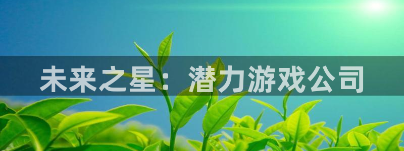 亿万28子财经图书：未来之星：潜力游戏公司