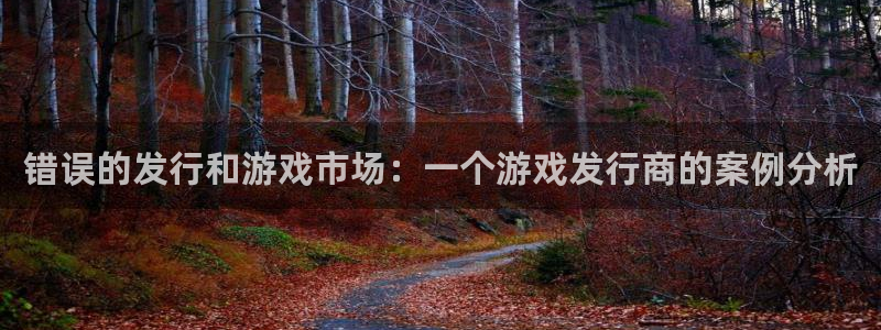 亿万28官网奇趣腾讯分分彩：错误的发行和游戏市场：一个游戏发行商的案例分析