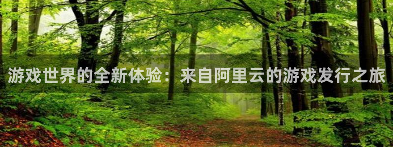 亿万28官网招商主管：游戏世界的全新体验：来自阿里云的游戏发行之旅