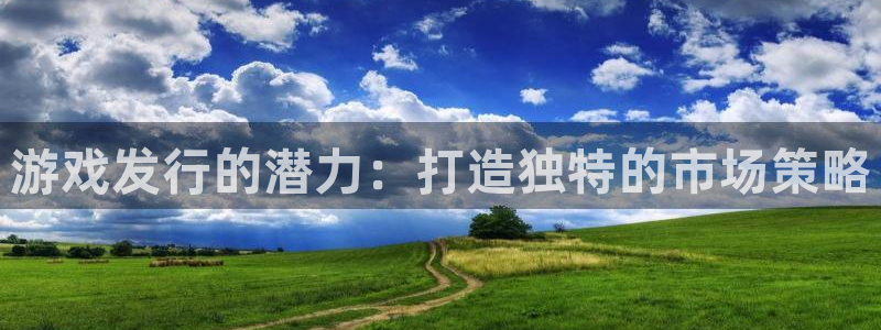 亿万28官网注册方法有哪些：游戏发行的潜力：打造独特的市场策略