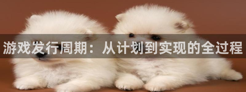 亿万28官网注册平台是什么公司：游戏发行周期：从计划到实现的全过程