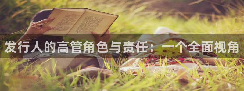 亿万28官网注册地址查询：发行人的高管角色与责任：一个全面视角