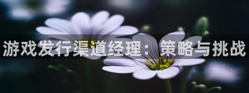 亿万28电子商务有限公司招聘