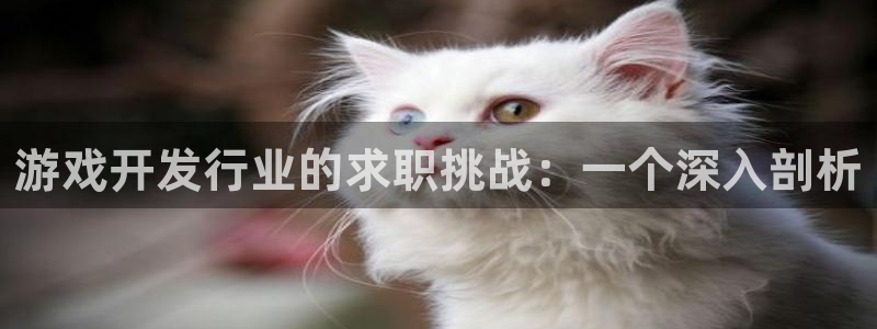 亿万28军团是哪个国家队